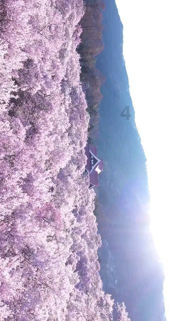 沙漠赛道驾驶