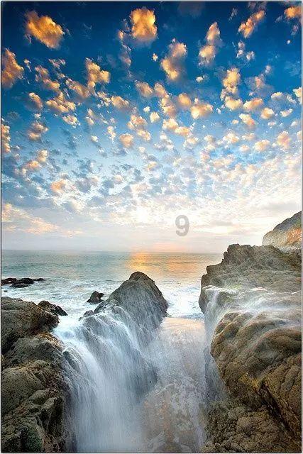 狗狗趁主人上厕所，走进卧室偷玩偶，为什么狗狗对于某些玩具情有独钟？游戏画面