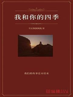 去年山东以工代赈带动群众务工16.2万人