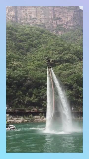 奥日与黑暗森林