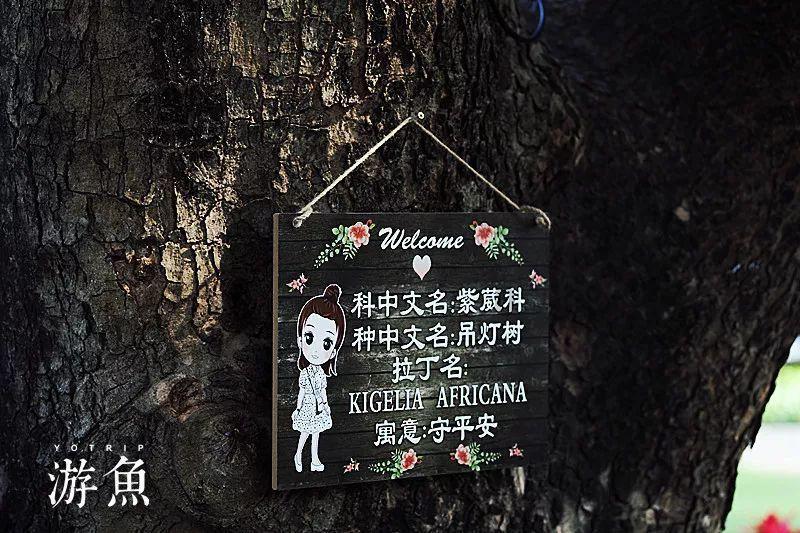 逃出诡异古宅