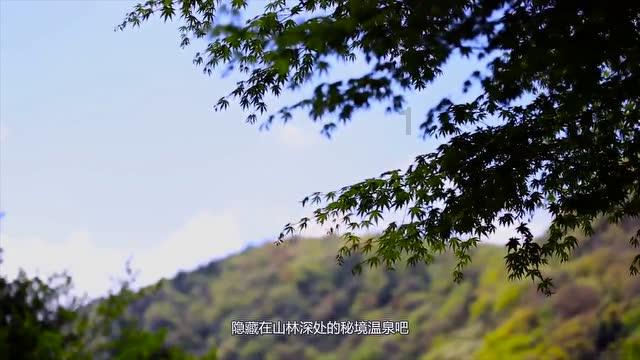 明星三缺一