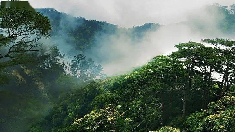 异地恋有必要每天一直聊天吗?- 专业的有问必答平台