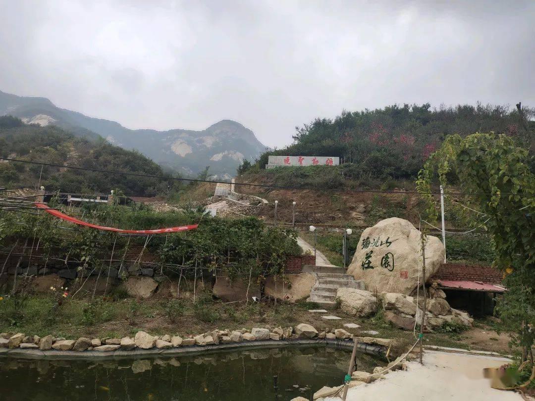 洪涛股份被债权人申请重整 前三季度毛利率为负 可持续经营能力有待观察