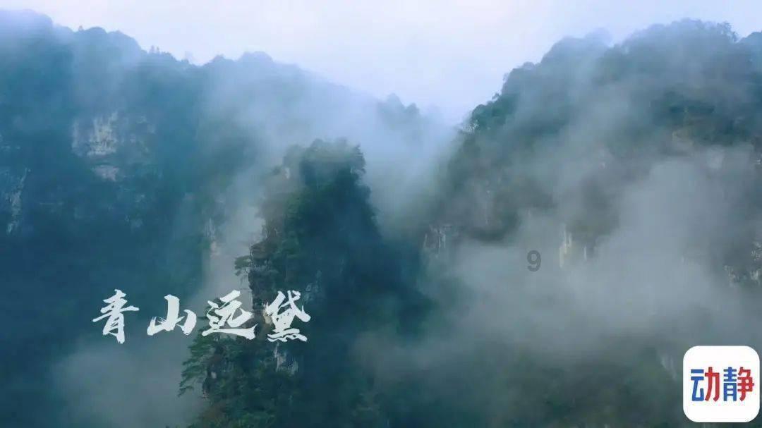 警察战僵尸无敌版
