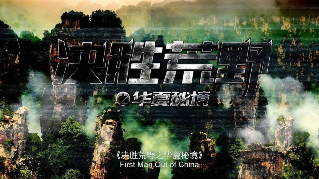 拯救精灵的土地10