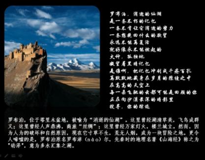 填满红色选关版