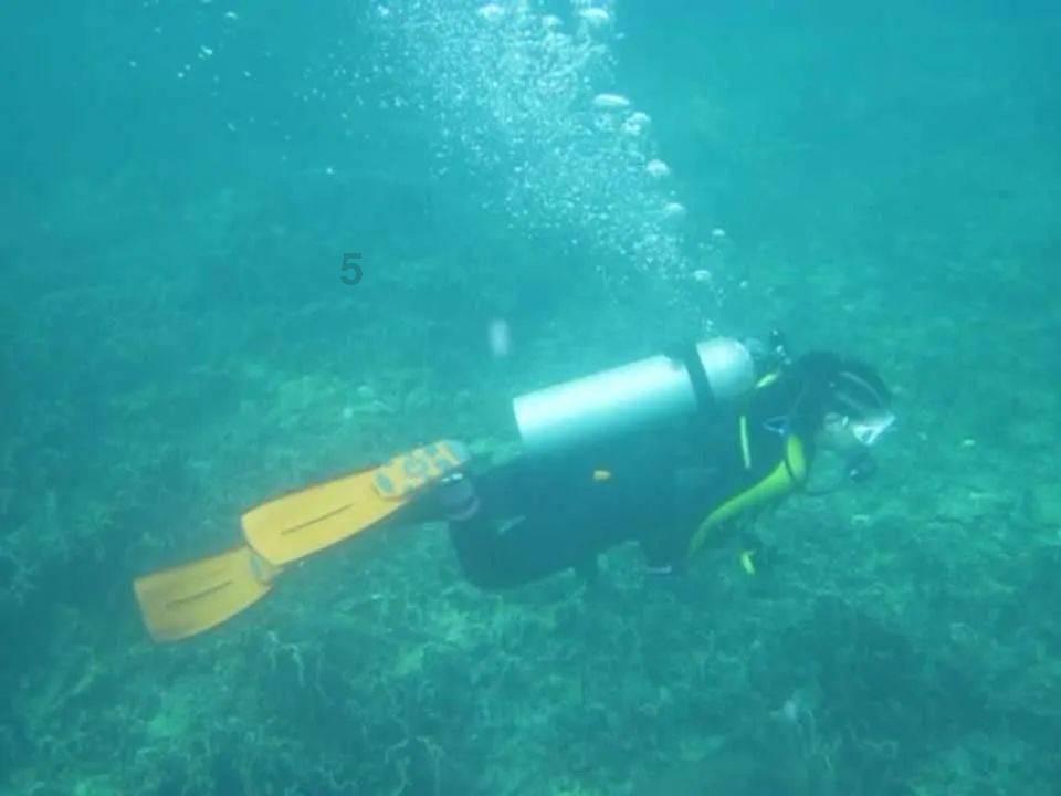 难怪电视剧里只有上半身,镜头下移后,全是辣眼睛的尴尬场景