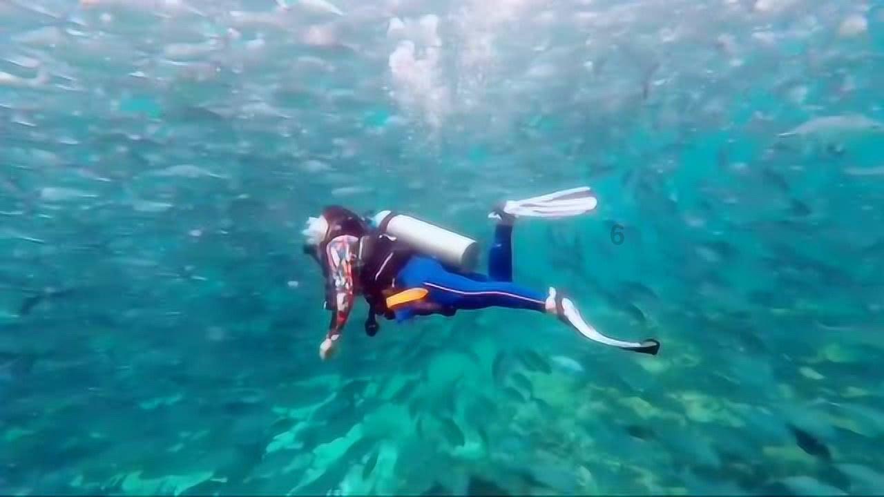 国际法院要求防止加沙地带出现种族灭绝