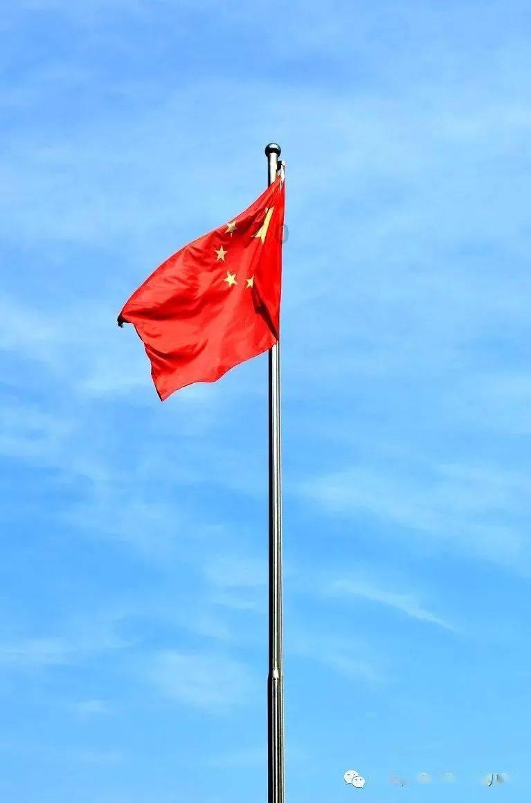 动画丨你不是一个人在战斗！你的身后有我们【全国大学生网络文化节获奖作品展映】
