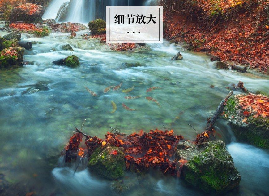 炼金术士塔