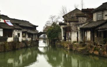 俄外交官:扎波罗热核电站周边地雷只对老鼠构成危险
