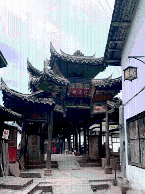 划龙舟吃粽子