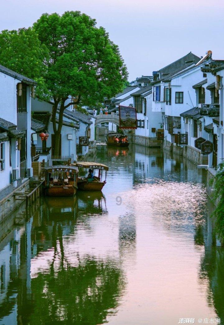 动物帮帮忙保卫家园
