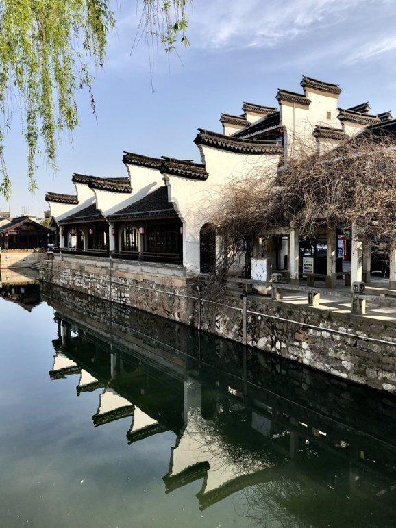 逃离金刚鹦鹉森林