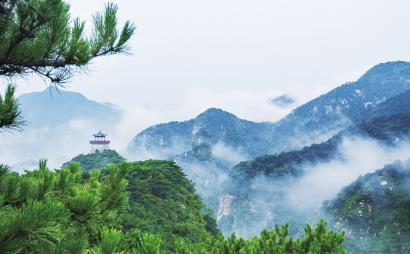 绝对完美